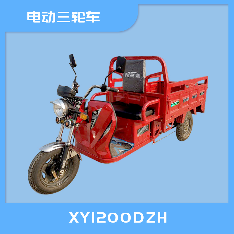 资阳市XY1200DZH电动三轮车